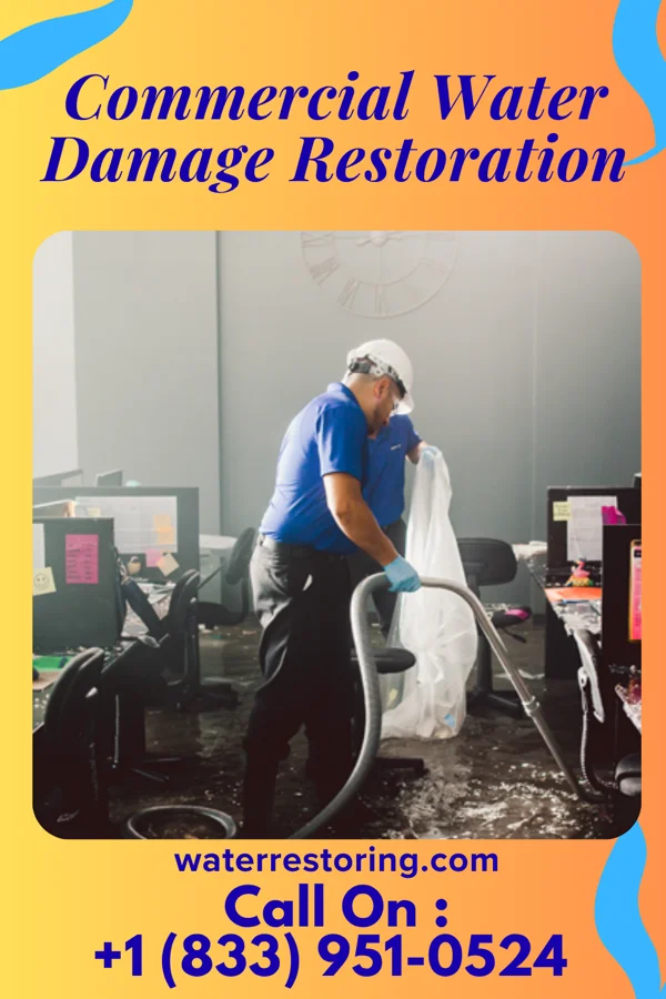 Commercial Water Damage Restoration in Jan Phyl Village, FL